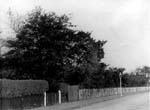 Towards Tudor Close